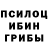 Псилоцибиновые грибы Psilocybine cubensis Andr Romanov