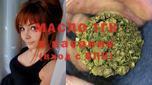 прущие грибы Верея