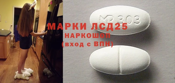 прущие грибы Верея