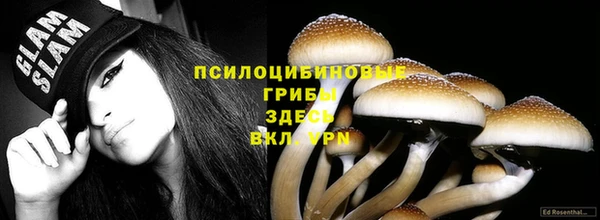 прущая мука Бородино