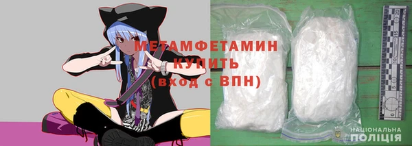 прущие грибы Верея