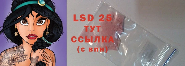 прущие грибы Верея