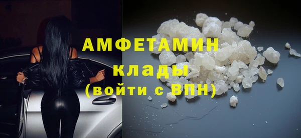 прущие грибы Верея