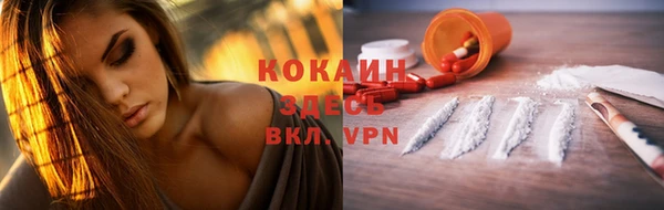 прущие грибы Верея