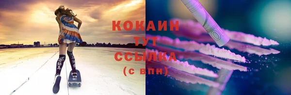 прущие грибы Верея