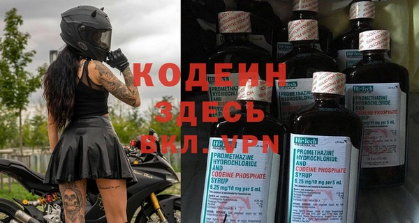 прущие грибы Верея