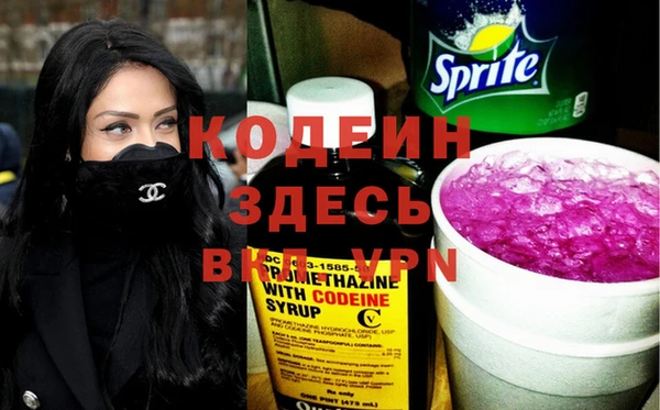 прущие грибы Верея