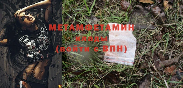 прущие грибы Верея