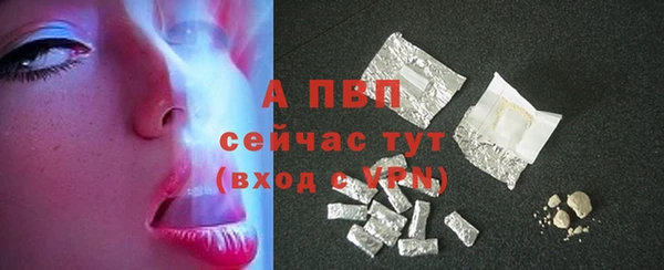 прущие грибы Верея