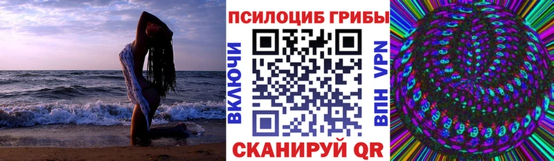 Псилоцибиновые грибы Psilocybine cubensis  наркота  Омск 